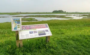Images Dated 24th September 2019: Ottersaat