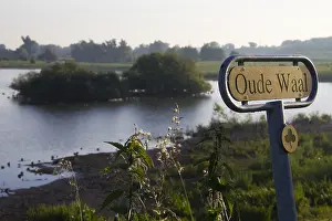 Images Dated 6th June 2014: Oude Waal; Ooijpolder; Nijmegen; Netherlands;