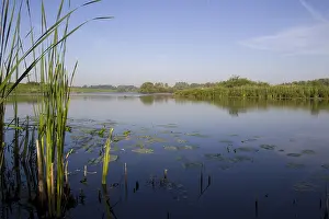 Images Dated 6th June 2014: Oude Waal, Ooijpolder, Nijmegen, Netherlands