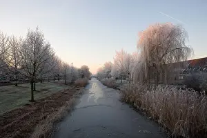 2007 Prints: Pampushout Almere Netherlands covered in hoar-frost, Pampushout