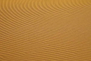 Images Dated 13th January 2020: Patterns in desert sand
