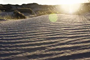 Images Dated 8th September 2007: Patterns in sand