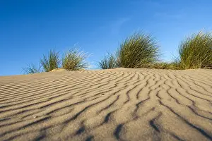 Images Dated 8th September 2007: Patterns in sand