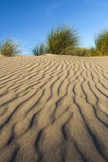 Images Dated 8th September 2007: Patterns in sand
