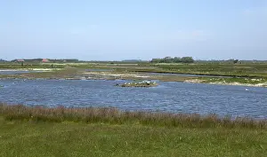 Images Dated 31st May 2013: De Petten Texel