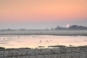 Natuurmonumenten Prints: De Petten Texel