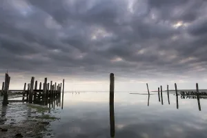 Cocksdorp Prints: Port de Cocksdorp