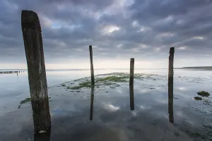 Cocksdorp Prints: Port de Cocksdorp