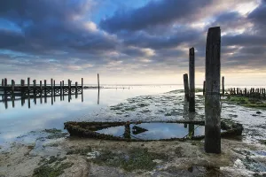 Cocksdorp Prints: Port de Cocksdorp