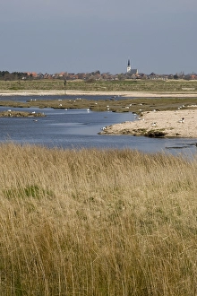 Images Dated 19th April 2008: De Putten, Texel