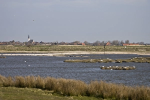 Den Hoorn Prints: De Putten, Texel