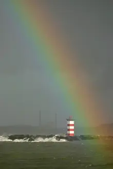 Regenboog Prints: Regenboog, Rainbow