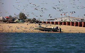 Fisherman Prints: Ria Formosa; Portugal