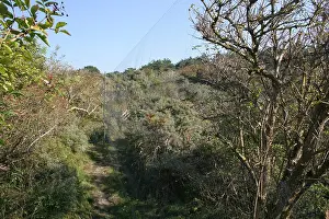 Images Dated 22nd September 2005: Ringstation, Ringingstation