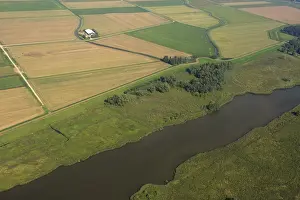 Uiterwaarden Prints: Rivier, River