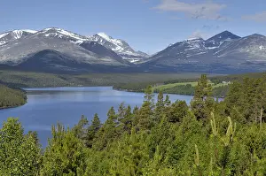 Noorwegen Prints: Rondane