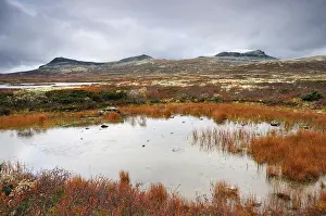 Noorwegen Prints: Rondane