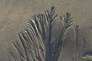 Textured Prints: Sand background texture