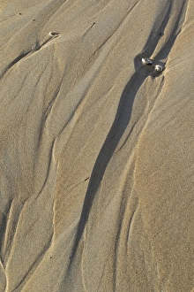 Images Dated 9th December 2018: Sand pattern