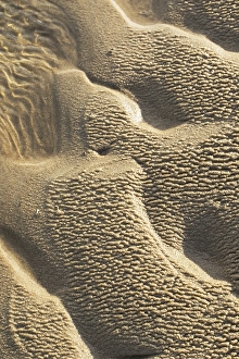 Images Dated 9th December 2018: Sand pattern