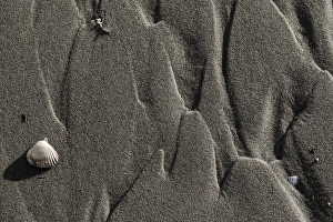 Images Dated 9th December 2018: Sand pattern