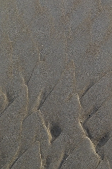 Images Dated 9th December 2018: Sand pattern