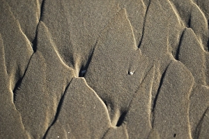 Images Dated 9th December 2018: Sand pattern