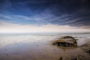 Salt Marsh Prints: Ship wreck