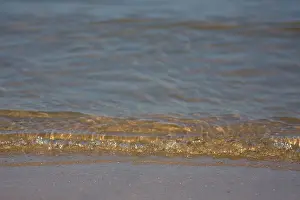 Achtergrond Prints: Shore, background
