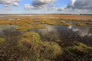 Images Dated 12th October 2009: Slikken van Flakkee