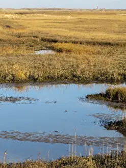 National Parc Prints: The Slufter