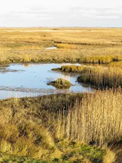 National Parc Prints: The Slufter