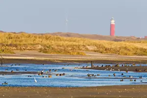 Sluftervallei Prints: De Slufter on Texel, Netherlands
