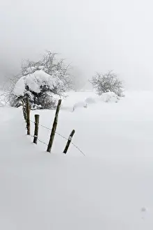 January Prints: Snowy Landscape