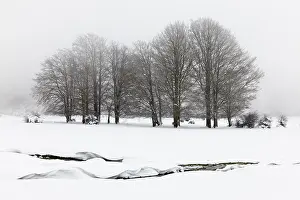January Prints: Snowy Landscape