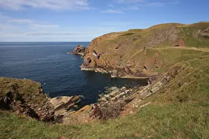 Scotland Prints: St Abbs Head
