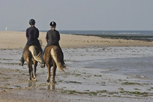 Waddenisland Prints: Strand, Beach