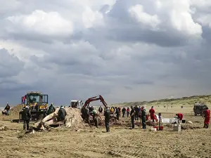 Bultrug Prints: Stranded whale at Scheveningen