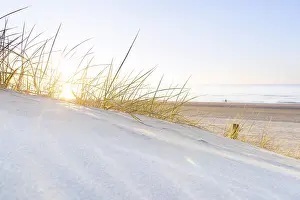 Duijvenboden Prints: sunset