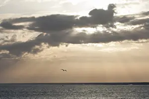 Images Dated 11th April 2008: Sunset at Texel