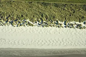 Zeereep Prints: Terschelling