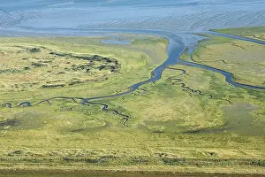 Boschplaat Prints: Terschelling