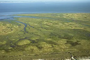 Boschplaat Prints: Terschelling