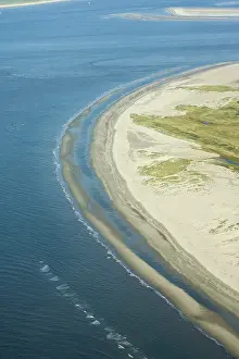 Boschplaat Prints: Terschelling