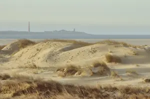 Duinen Prints: Texel
