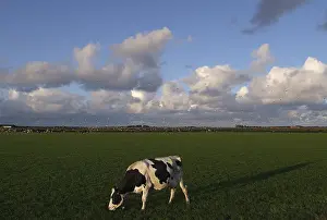 Wolkenlucht Prints: Texel, Texel