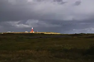 Images Dated 18th October 2007: Texel, Texel