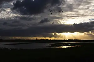 Images Dated 18th October 2007: Texel, Texel