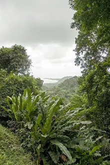 Images Dated 21st December 2007: Tobago
