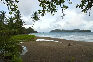 Images Dated 6th December 2007: Tobago